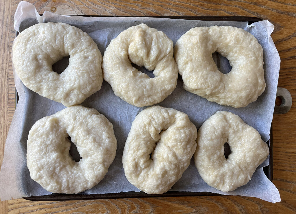 Six sealed no-knead bagels ready for an egg wash