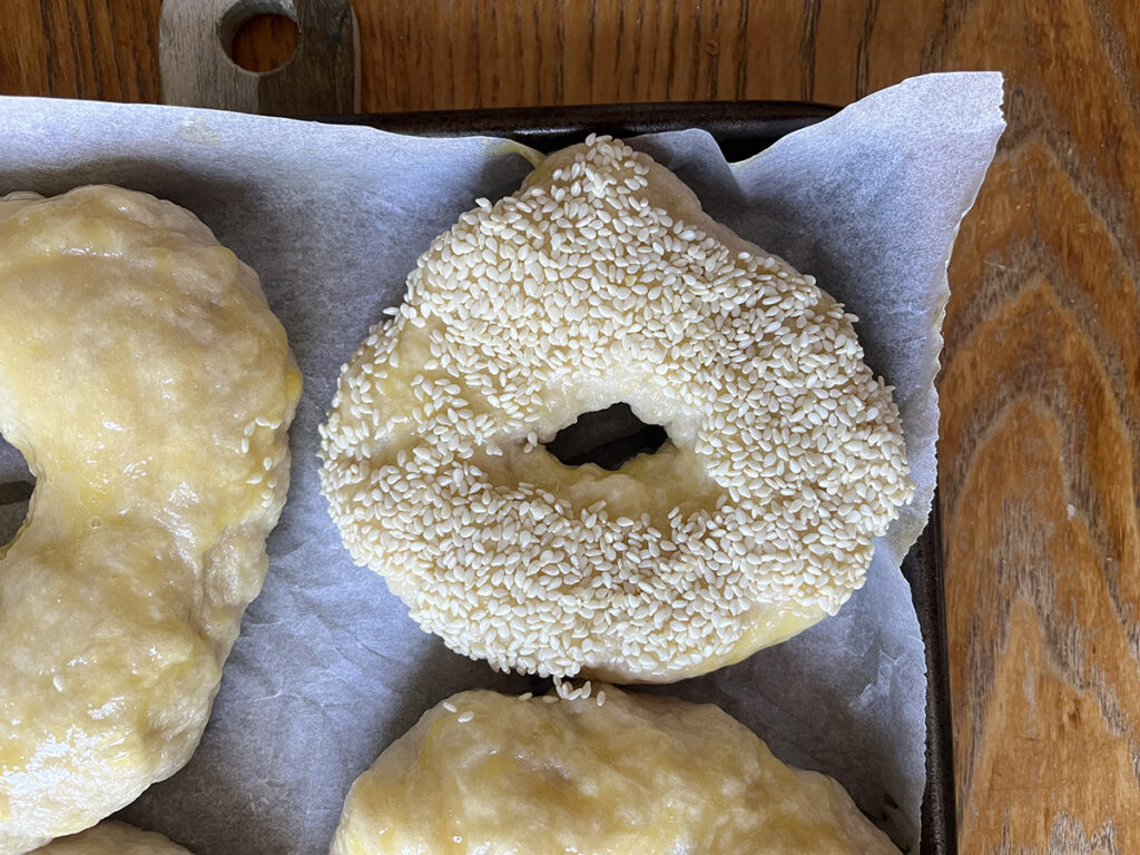 A sesame seed no-knead bagel ready to bake!