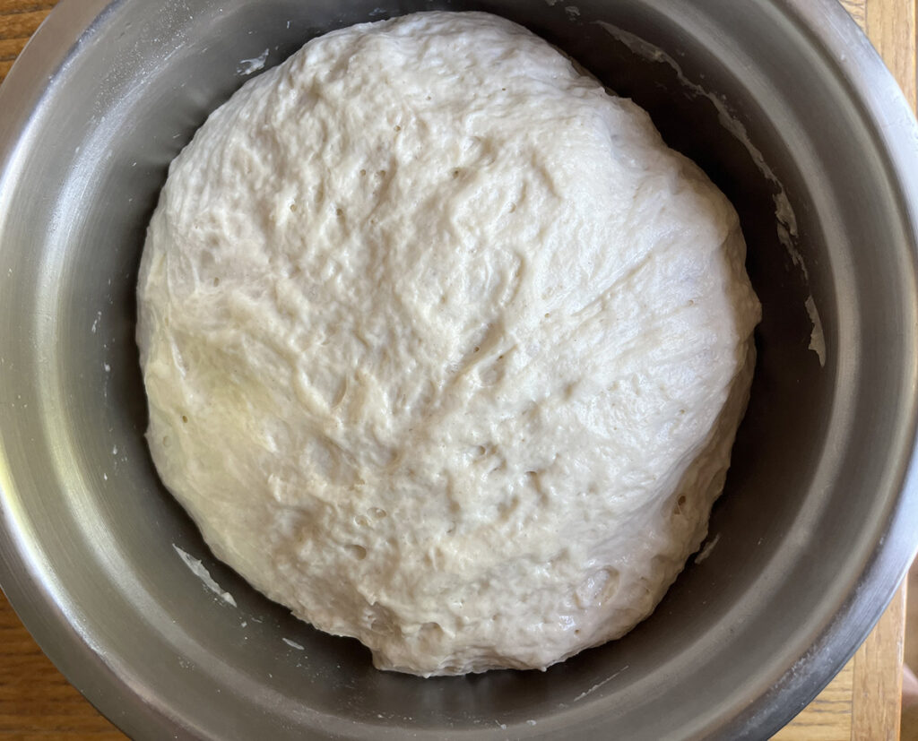 The no-knead bagel dough has risen or the second time!