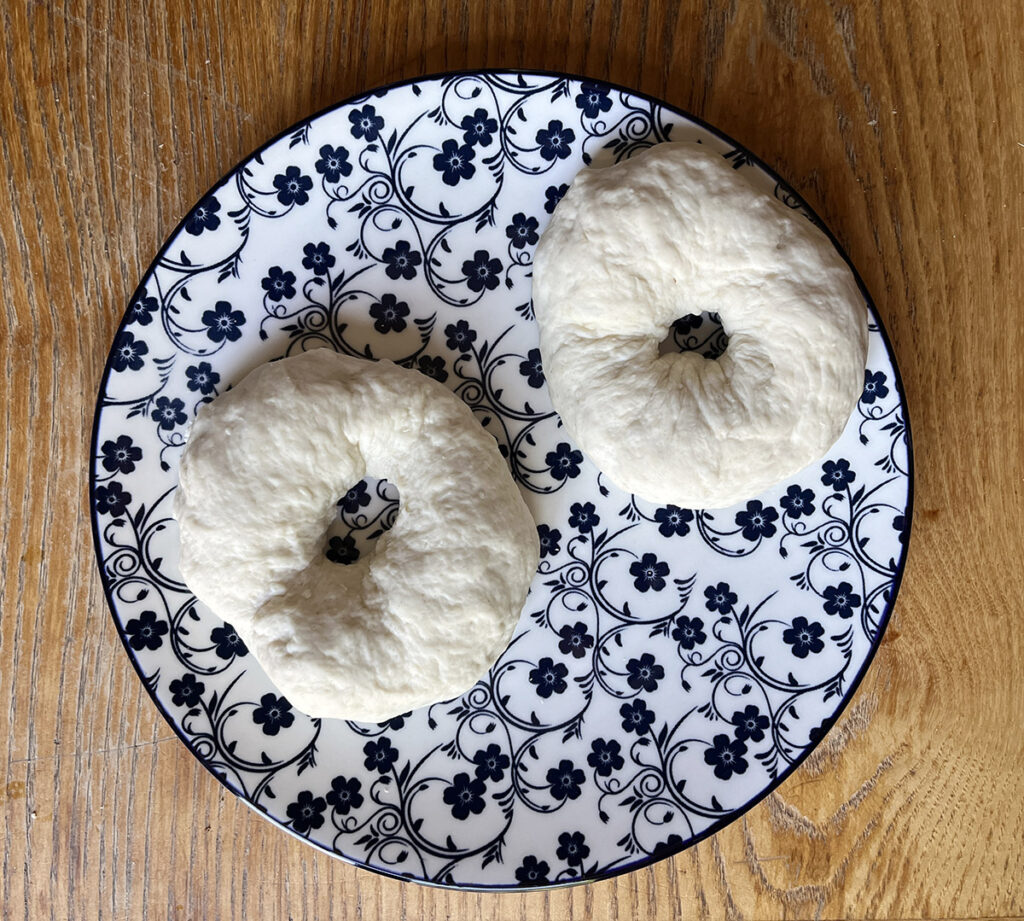 Two no-knead bagel dough pieces shaped into bagels